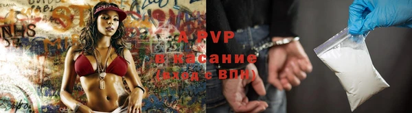 гидропоника Алзамай