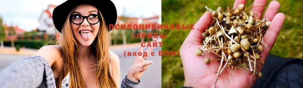 спайс Алексеевка