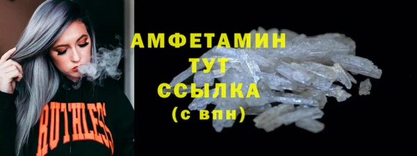 шишки Пестово