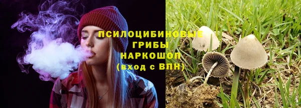 трава Алексин