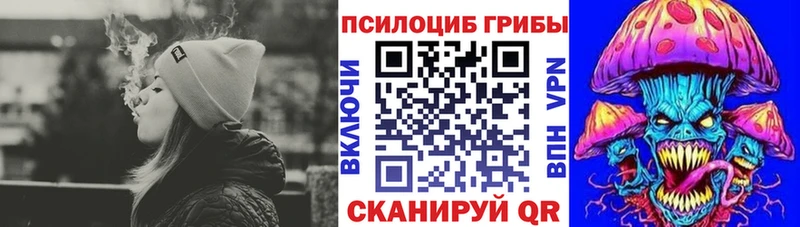 Галлюциногенные грибы Psilocybine cubensis  Тюкалинск 